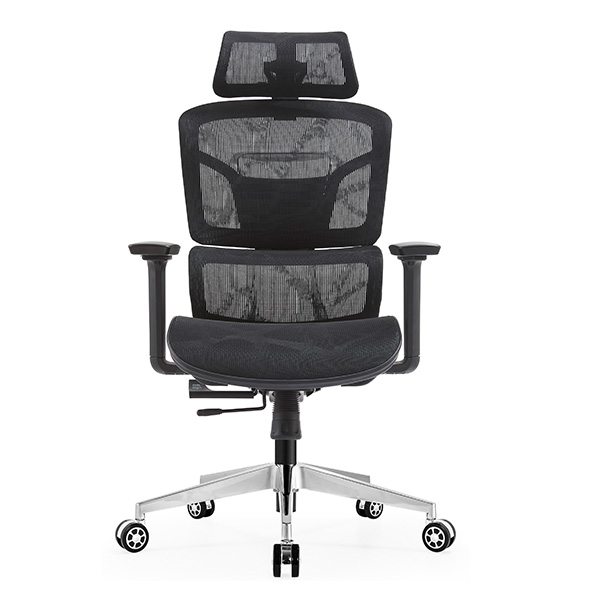Ghế công thái học EDRA EEC223 1