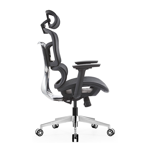 Ghế công thái học EDRA EEC223 2