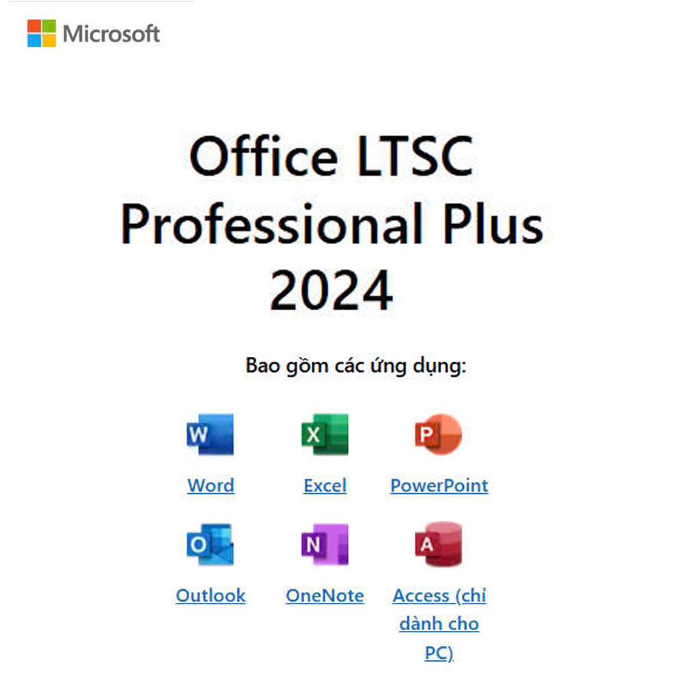Phần mềm Microsoft Office LTSC Professional Plus 2024 1
